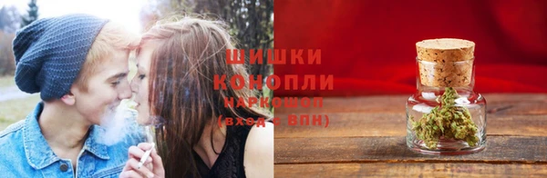 крисы Горнозаводск