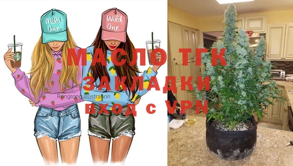 a pvp Гусев