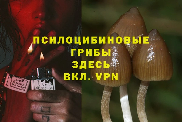 крисы Горнозаводск