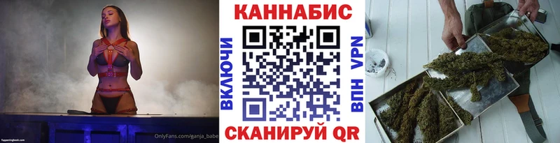 закладки  Новоржев  это клад  Марихуана планчик 